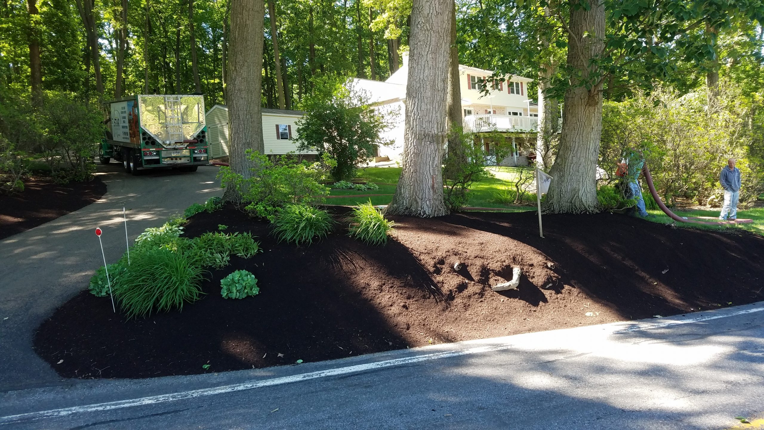 Mulching Star Foundation INC
